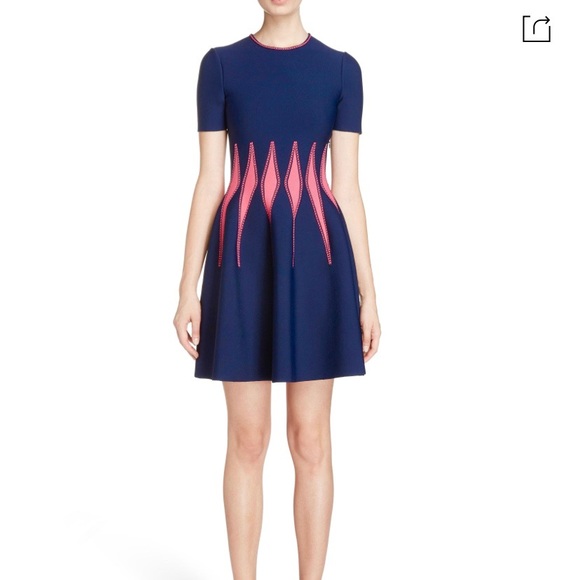 Alexander McQueen Dresses & Skirts - ALEXANDER MCQUEEN Corset Stitch Fit & Flare Dress